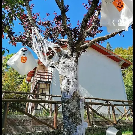 Hébergement de vacances La Foresta