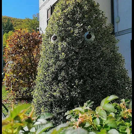 La Foresta Hébergement de vacances