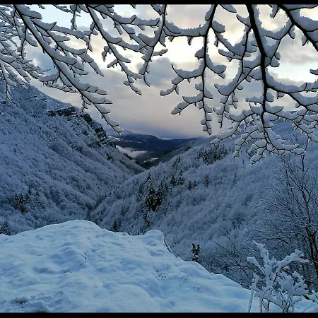 Hébergement de vacances La Foresta