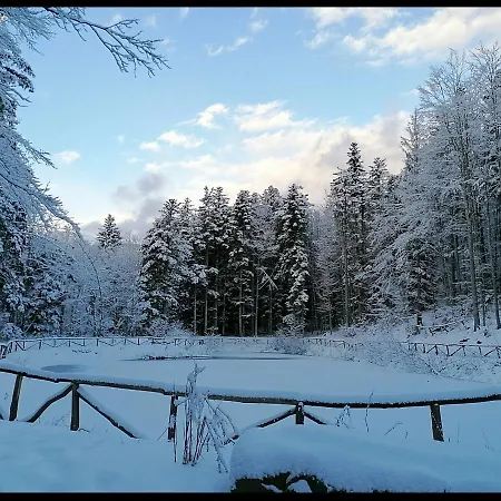La Foresta * Abetone