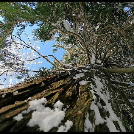 La Foresta Hébergement de vacances