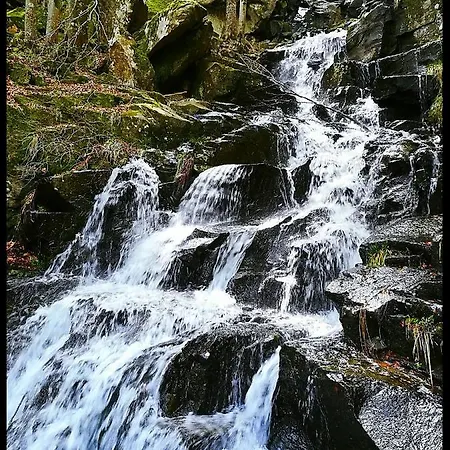 Hébergement de vacances La Foresta Abetone