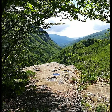 La Foresta Hébergement de vacances Abetone